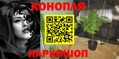 крисы Мариинск