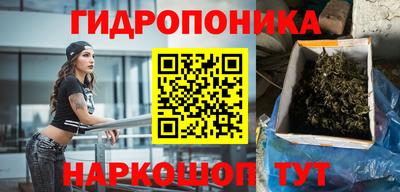 крисы Мариинск
