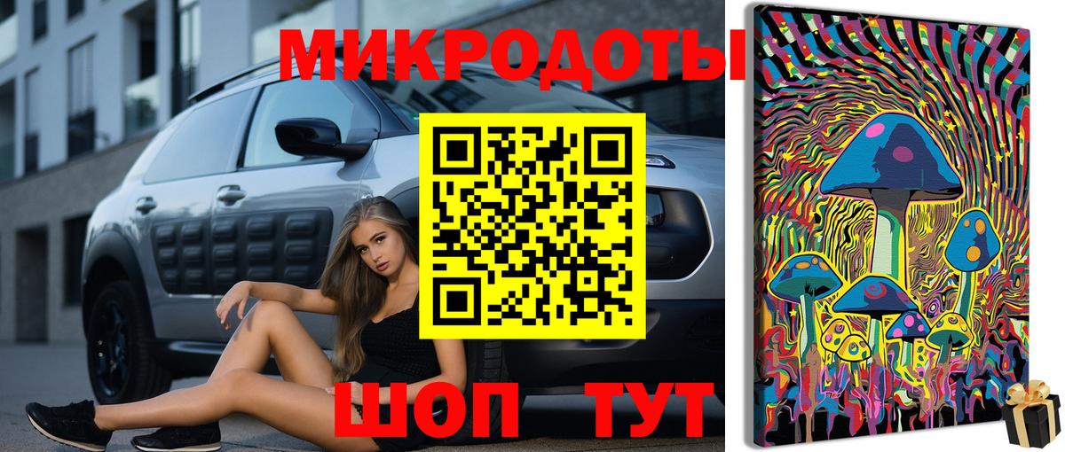 Псилоцибиновые грибы мицелий Южноуральск